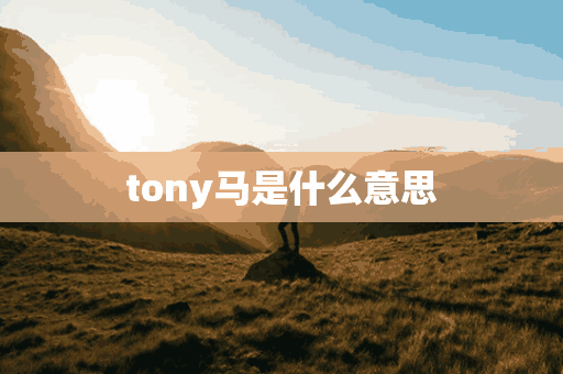 tony马是什么意思